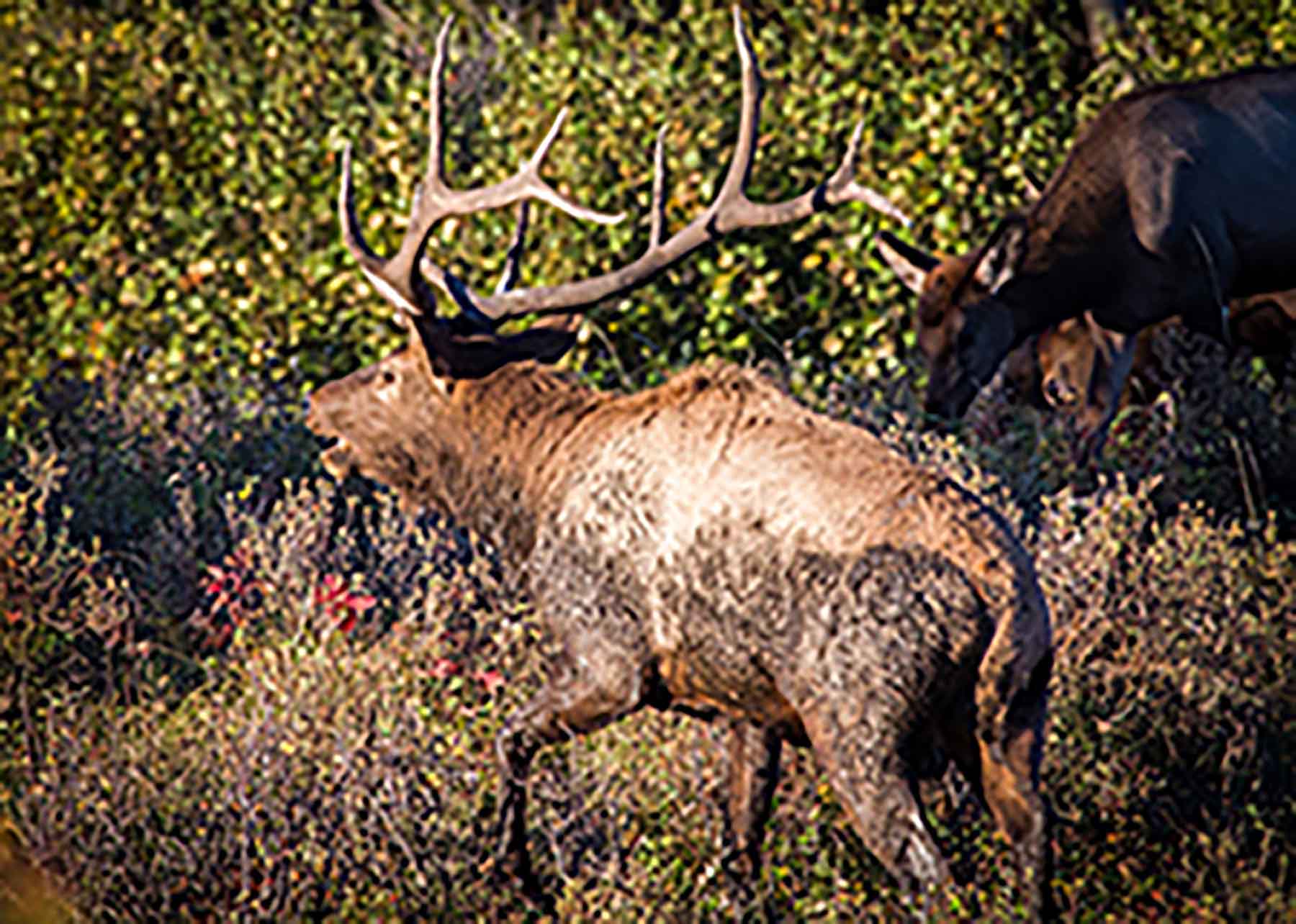 EBR - Kettle Hollow Unit property picture 6 of 13