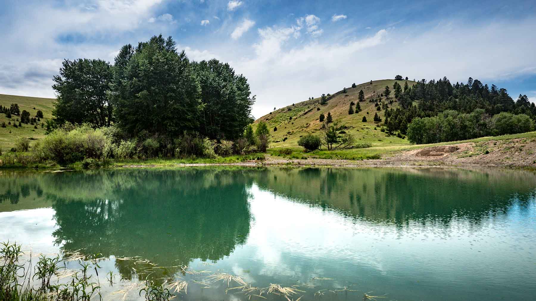 Elk Basin Ranch property picture 24 of 25