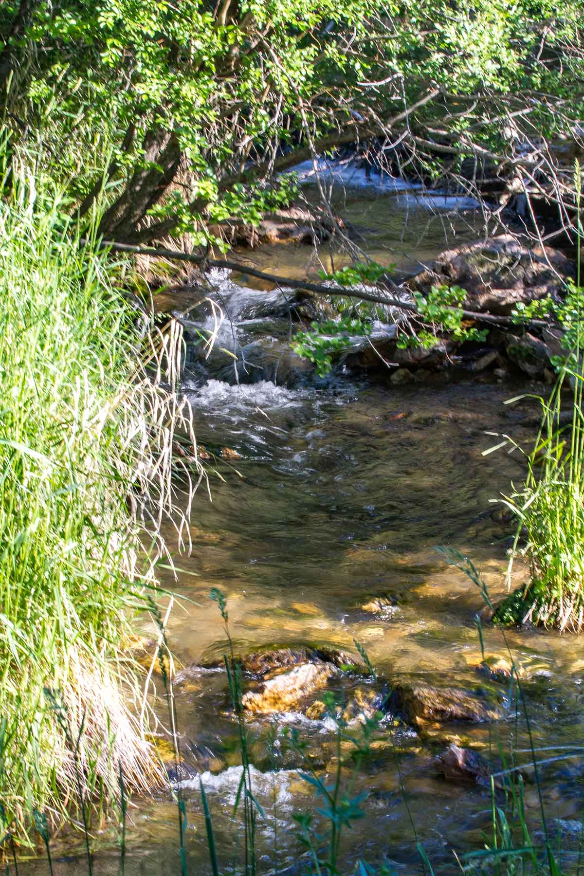 Elk Basin Ranch property picture 8 of 25
