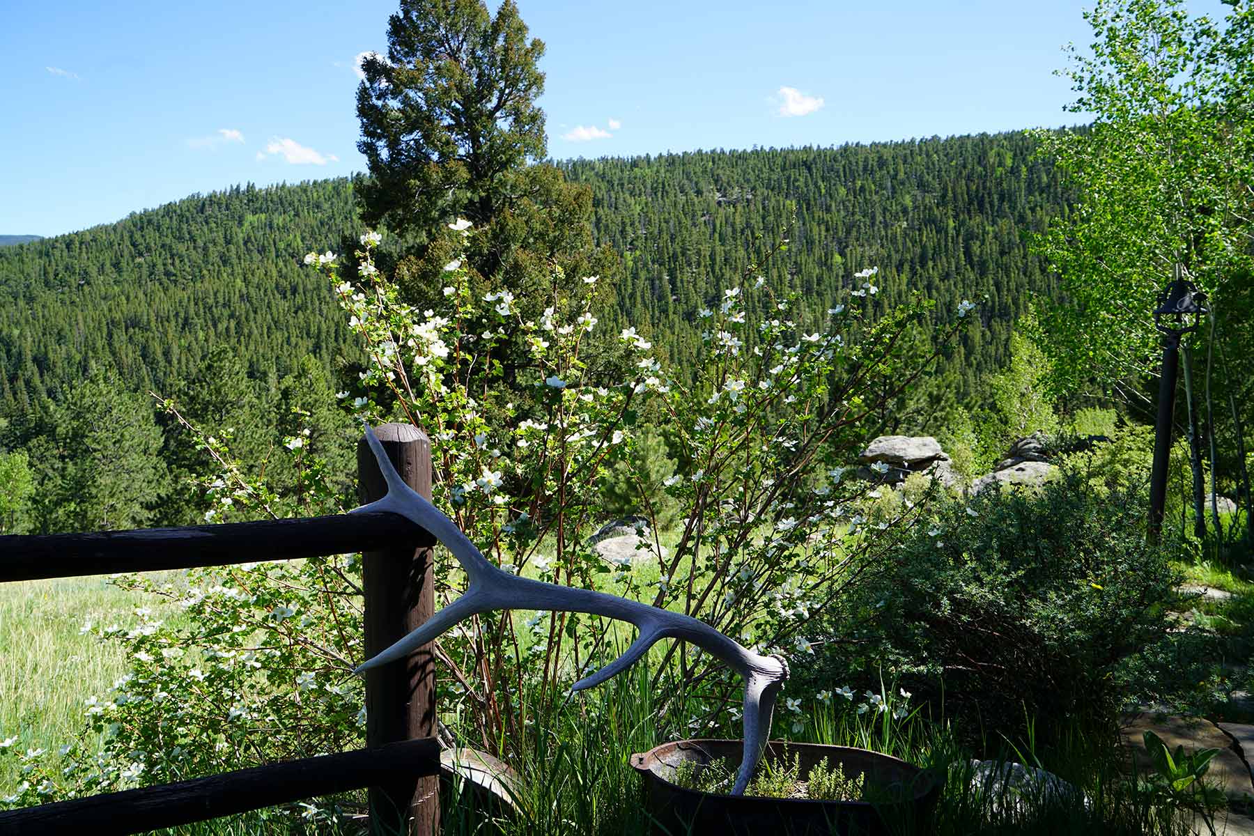 Elk Meadow Ranch Sold Colorado Hall and Hall