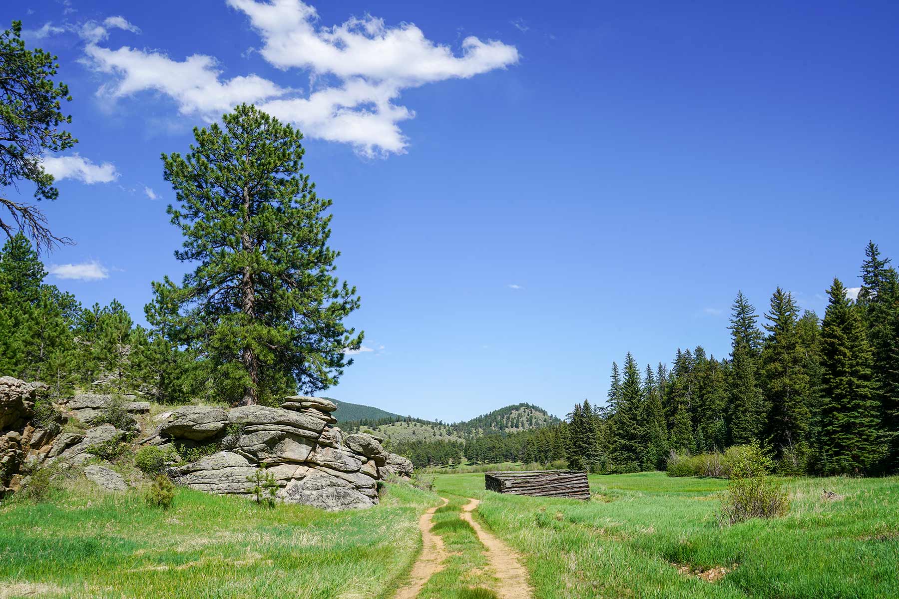 Elk Meadow Ranch property picture 40 of 74