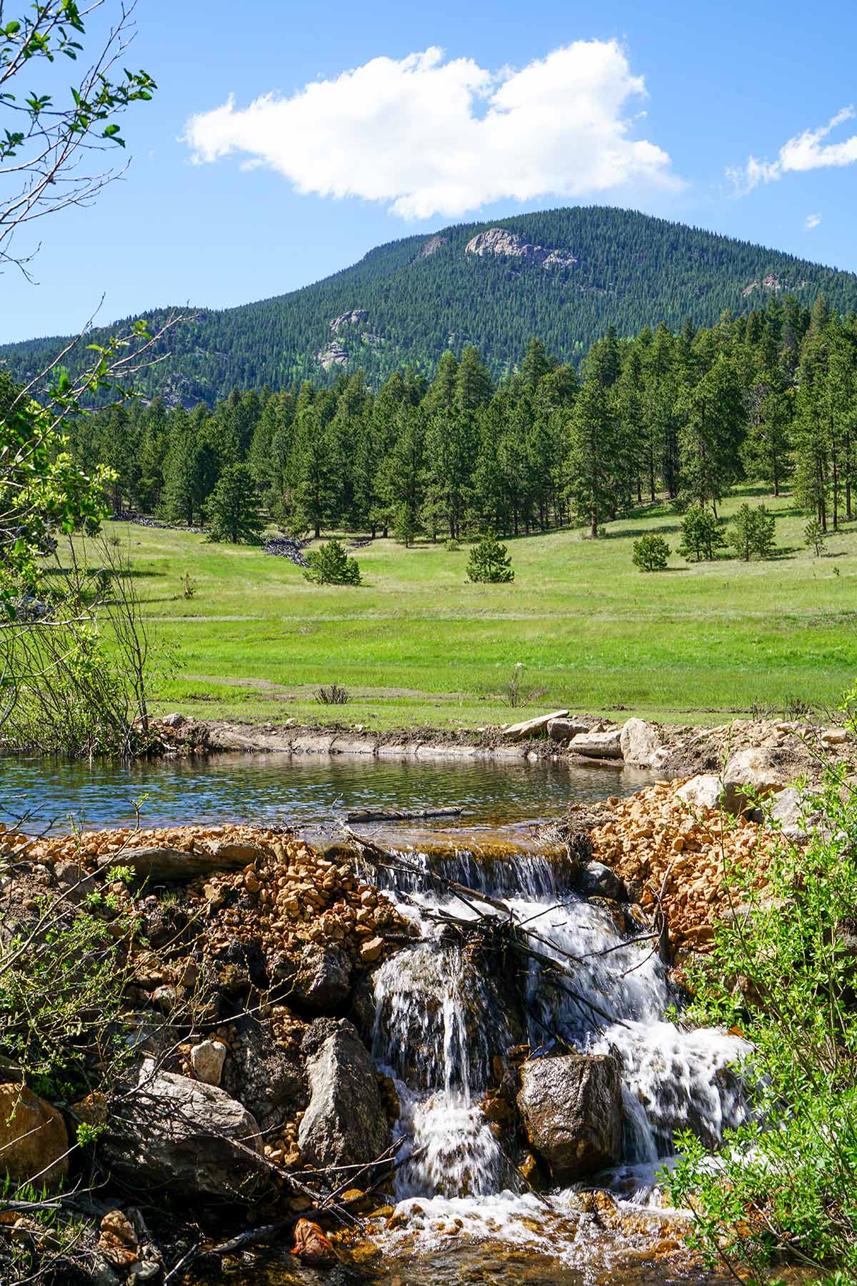 Elk Meadow Ranch property picture 44 of 74