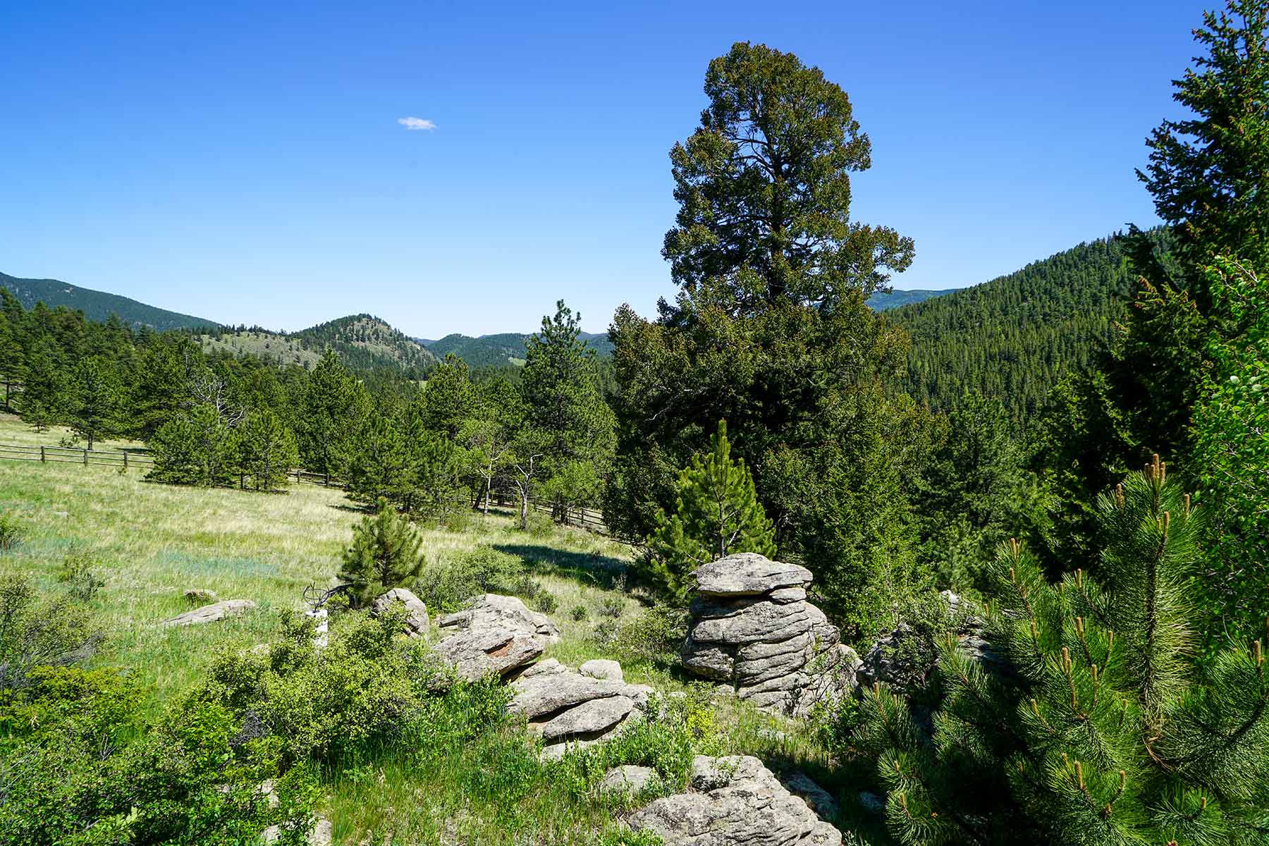 Elk Meadow Ranch Sold Colorado Hall and Hall