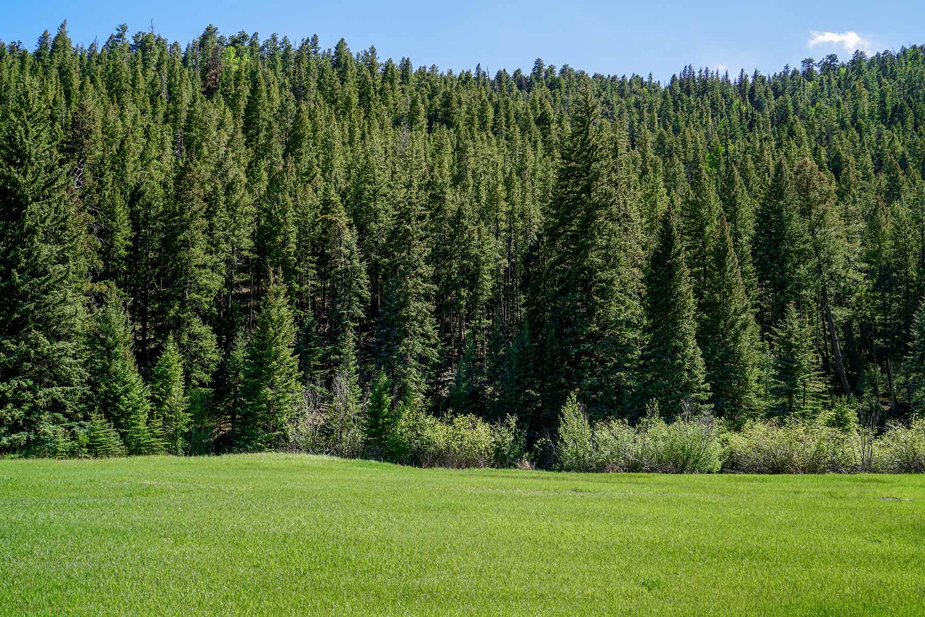 Elk Meadow Ranch property picture 47 of 74