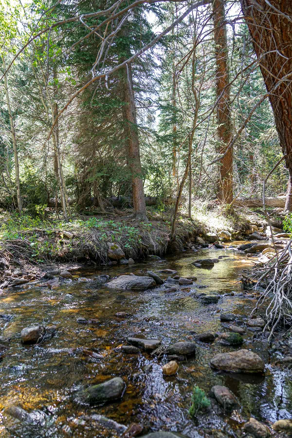 Elk Meadow Ranch property picture 74 of 74