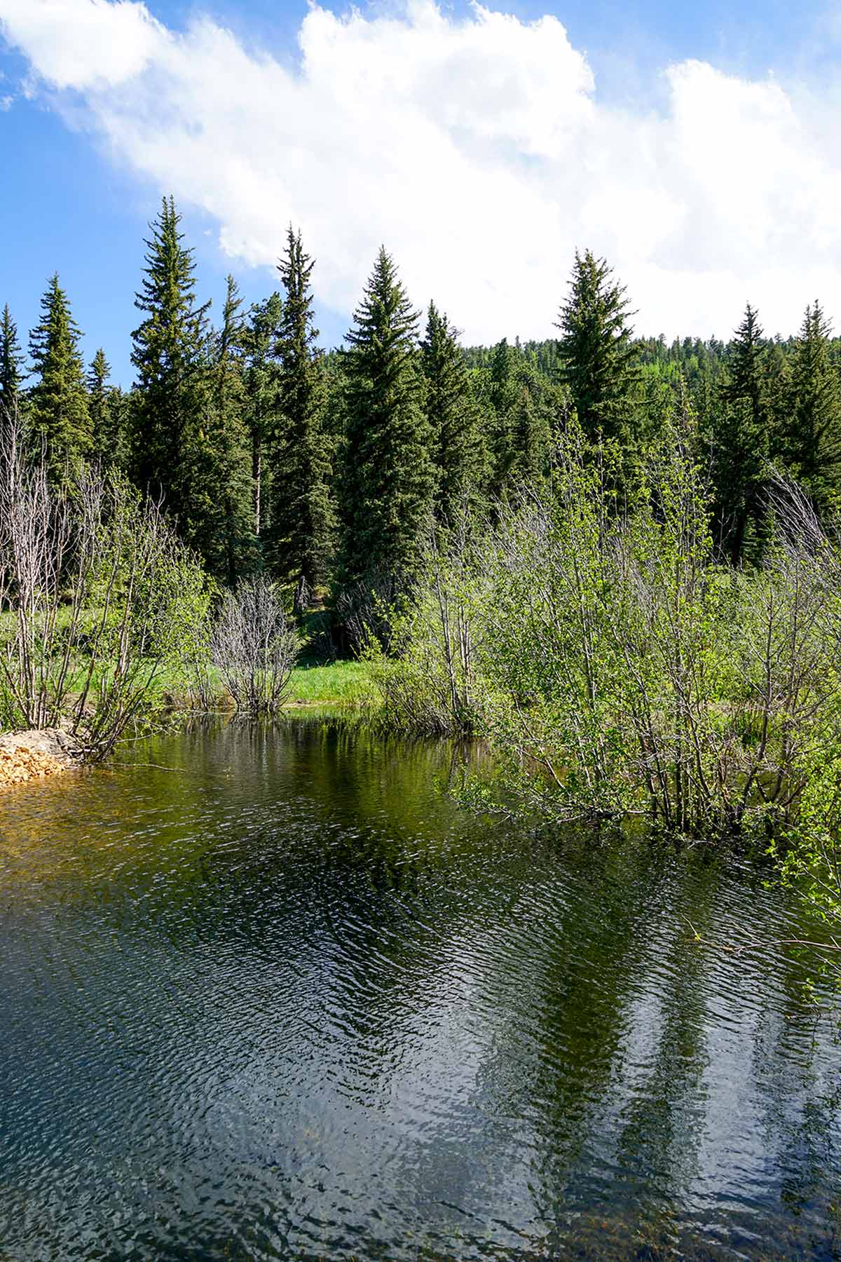 Elk Meadow Ranch property picture 6 of 74