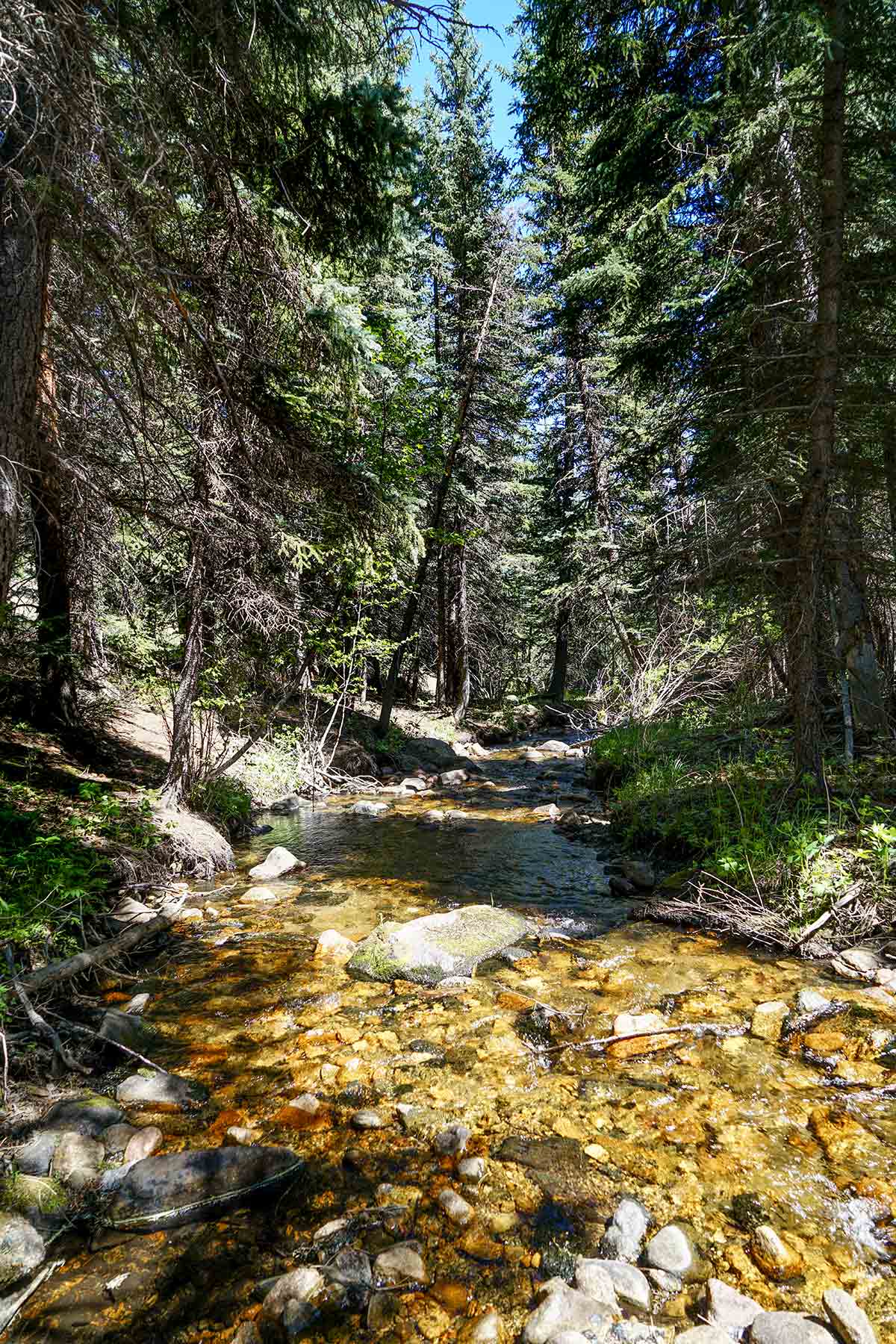 Elk Meadow Ranch property picture 34 of 74