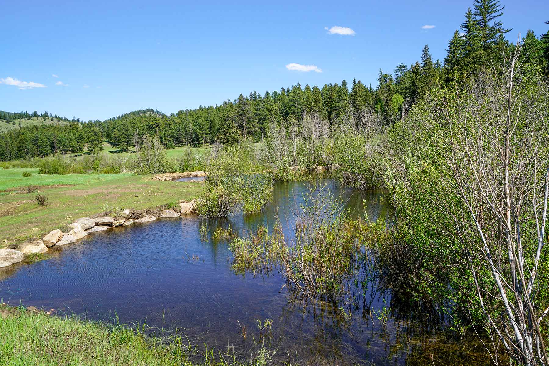 Elk Meadow Ranch property picture 41 of 74