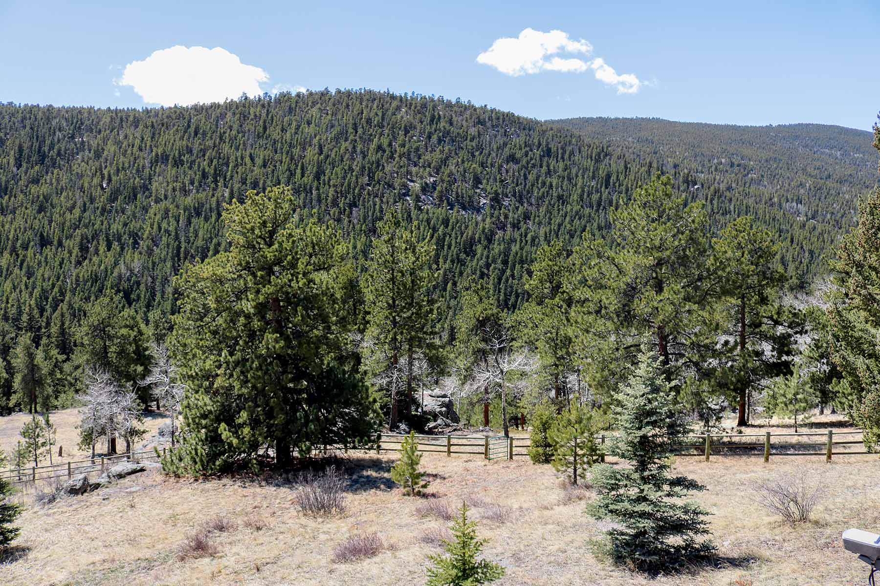 Elk Meadow Ranch Sold Colorado Hall and Hall