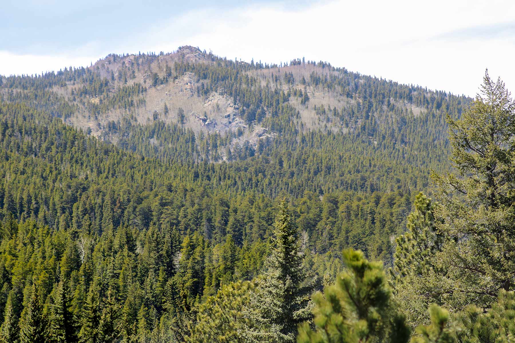 Elk Meadow Ranch Sold Colorado Hall and Hall