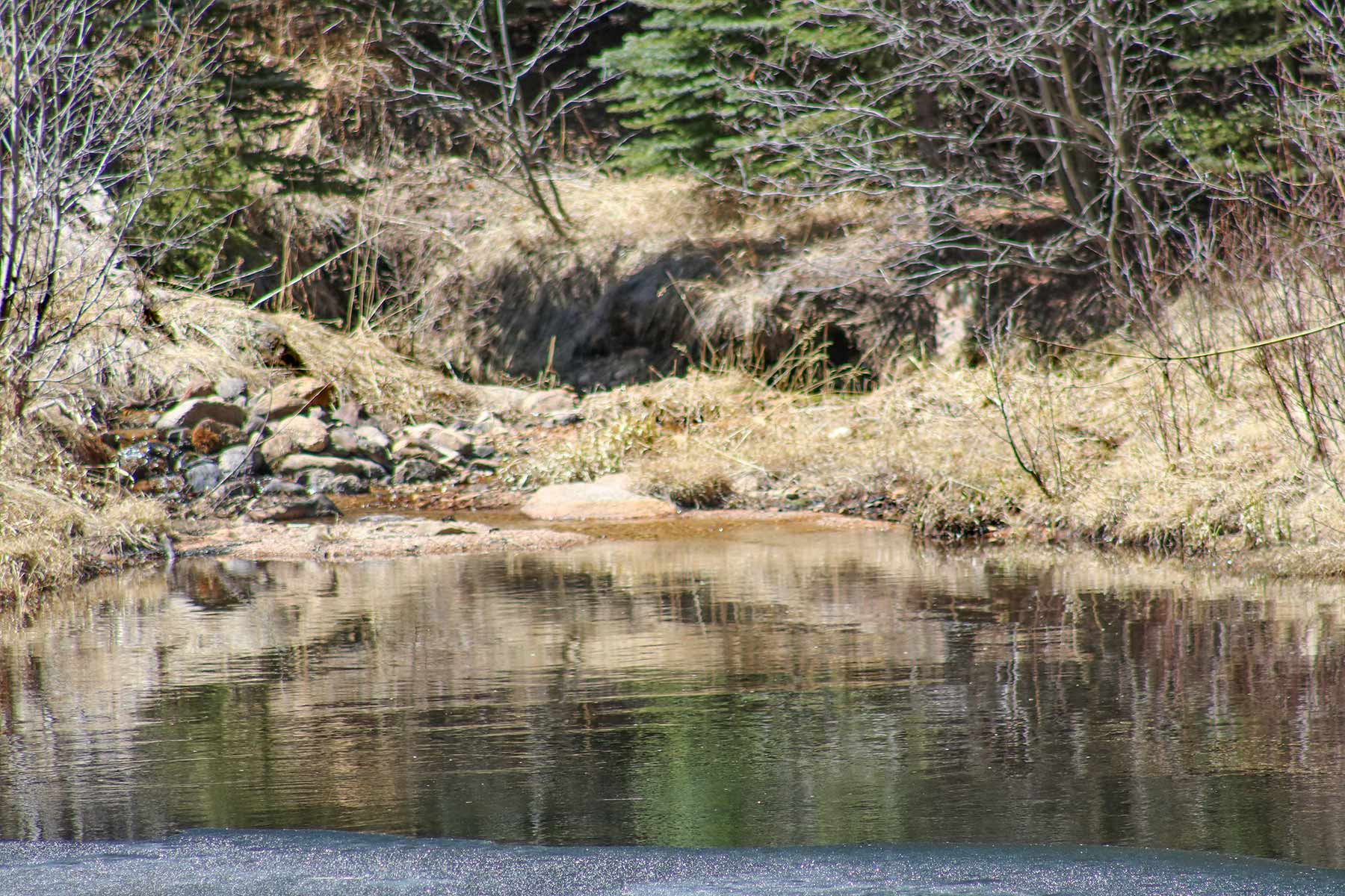 Elk Meadow Ranch property picture 64 of 74