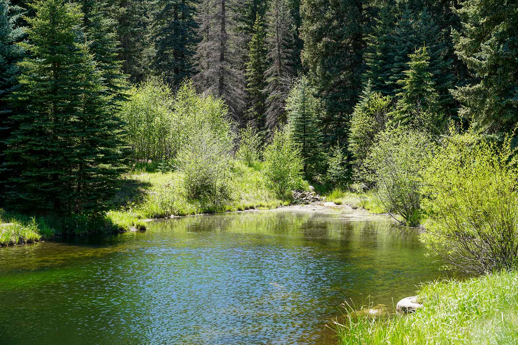 Elk Meadow Ranch Sold Colorado Hall and Hall