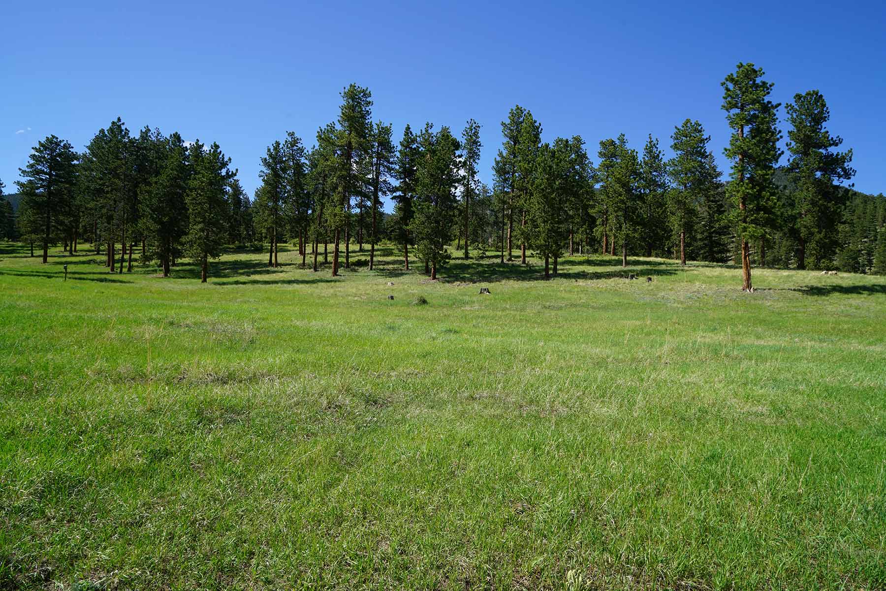 Elk Meadow Ranch property picture 45 of 74