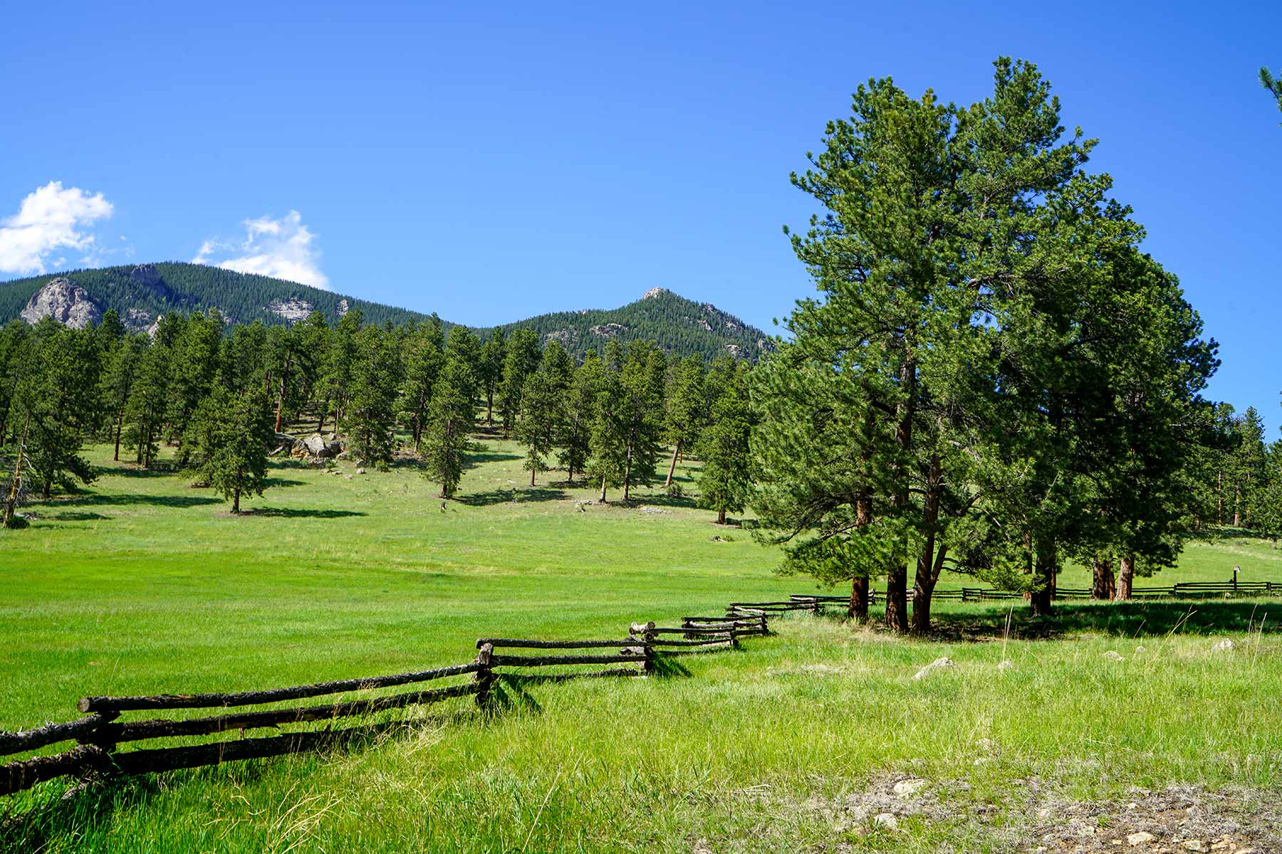 Elk Meadow Ranch Sold Colorado Hall and Hall