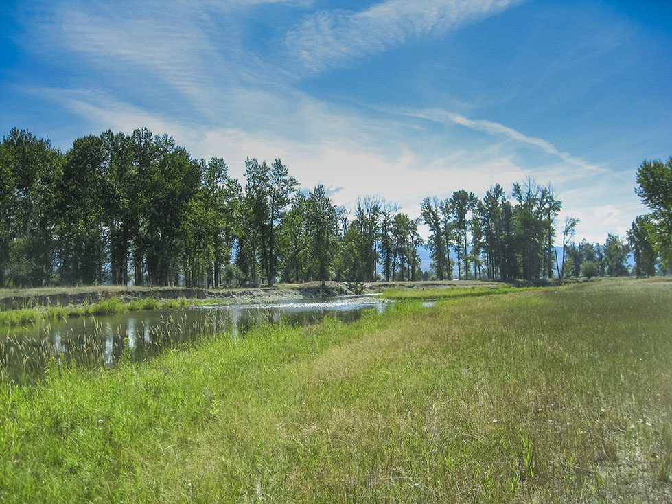Bitterroot River Retreat property picture 3 of 12