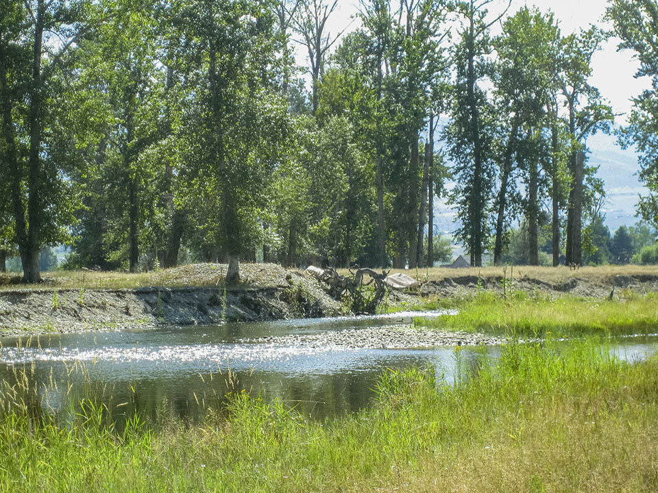 Bitterroot River Retreat property picture 4 of 12