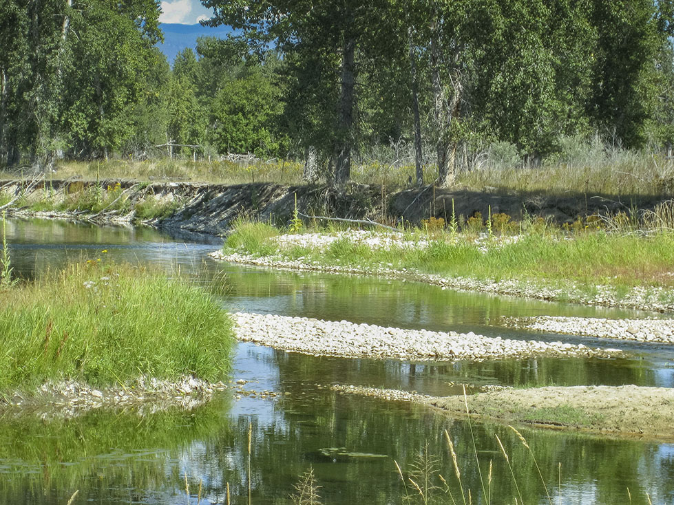 Bitterroot River Retreat property picture 6 of 12