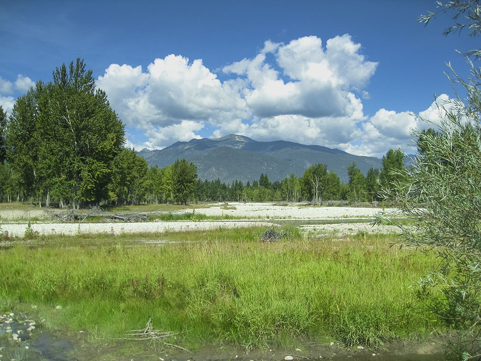 Bitterroot River Retreat property picture 7 of 12