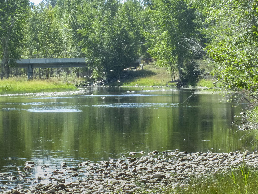 Bitterroot River Retreat property picture 9 of 12