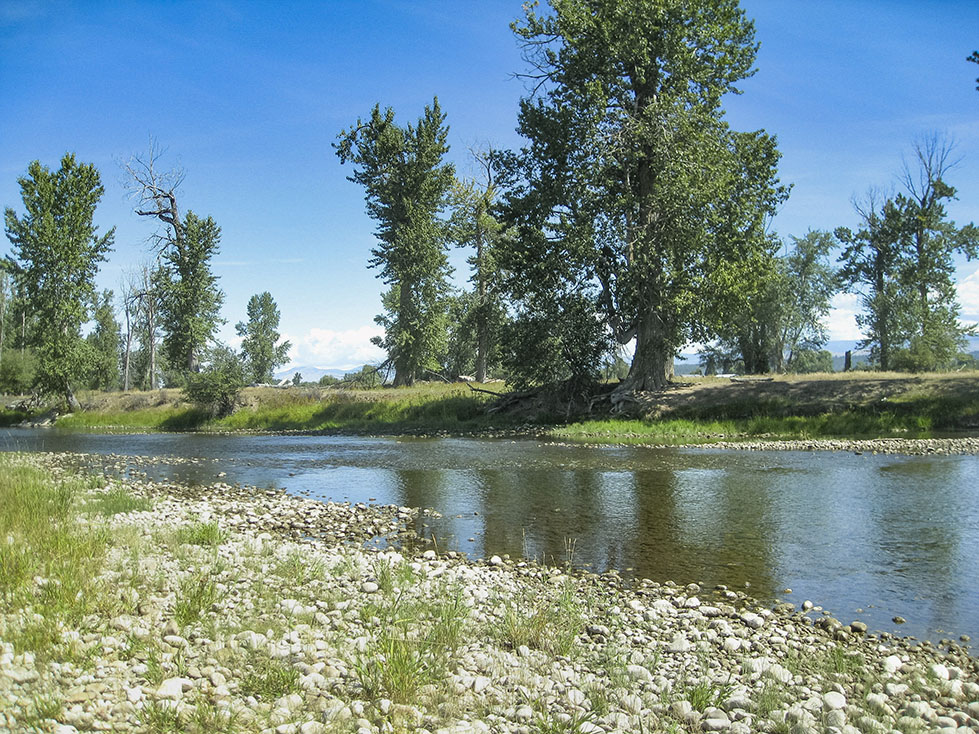 Bitterroot River Retreat property picture 11 of 12