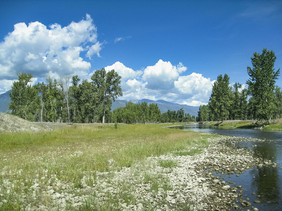 Bitterroot River Retreat property picture 5 of 12
