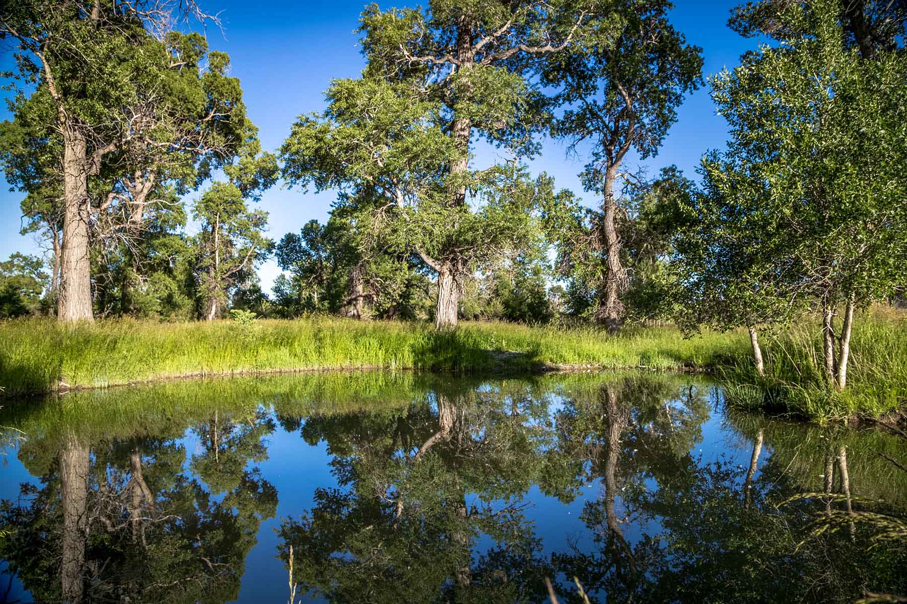 Big Timber Creek Ranch property picture 26 of 48