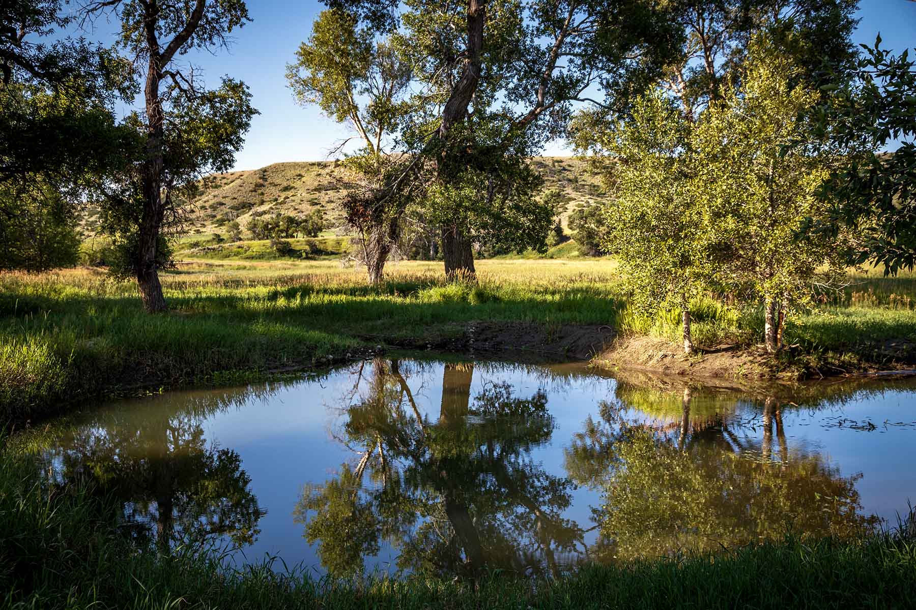 Big Timber Creek Ranch property picture 45 of 48