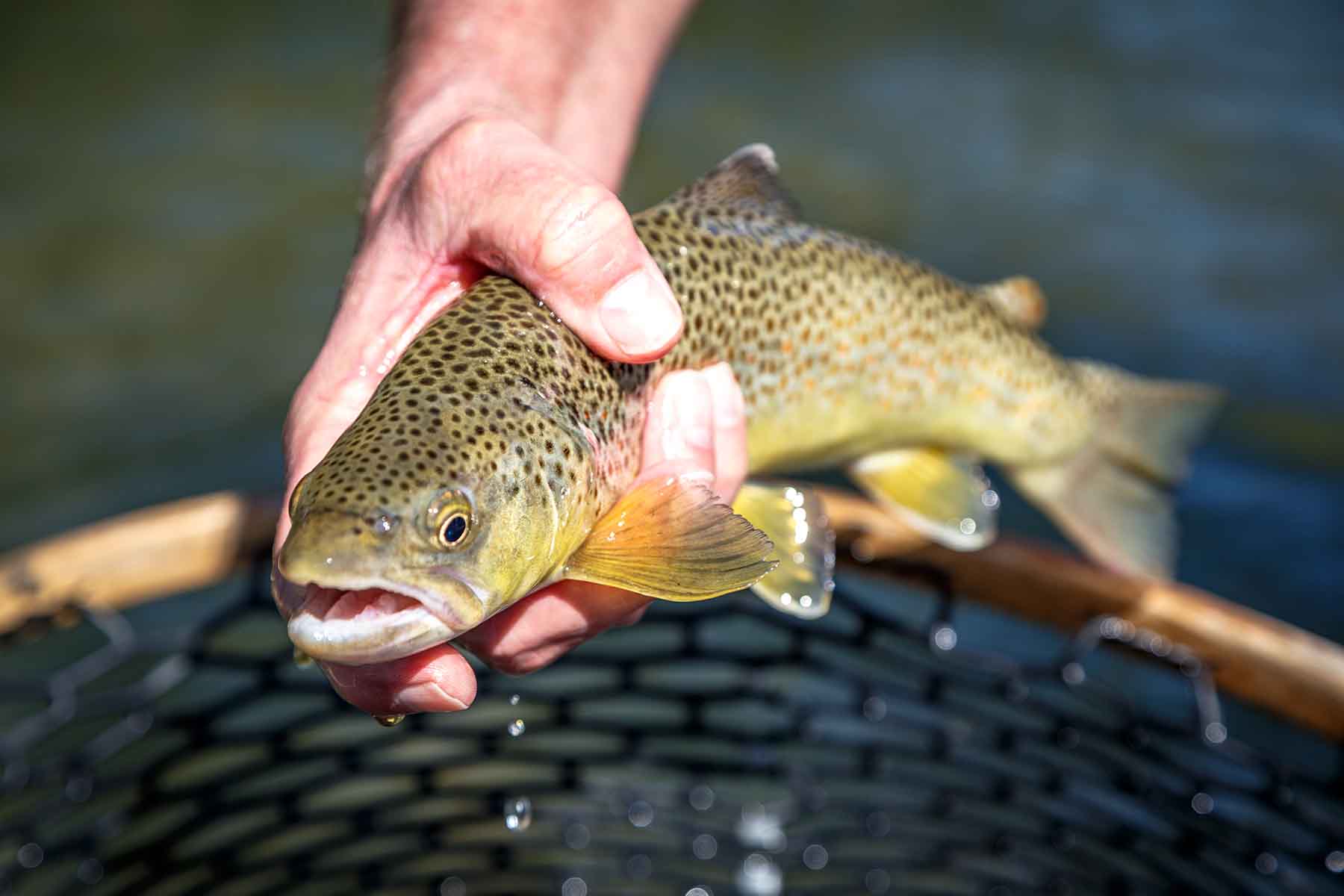 Big Timber Creek Ranch property picture 19 of 48