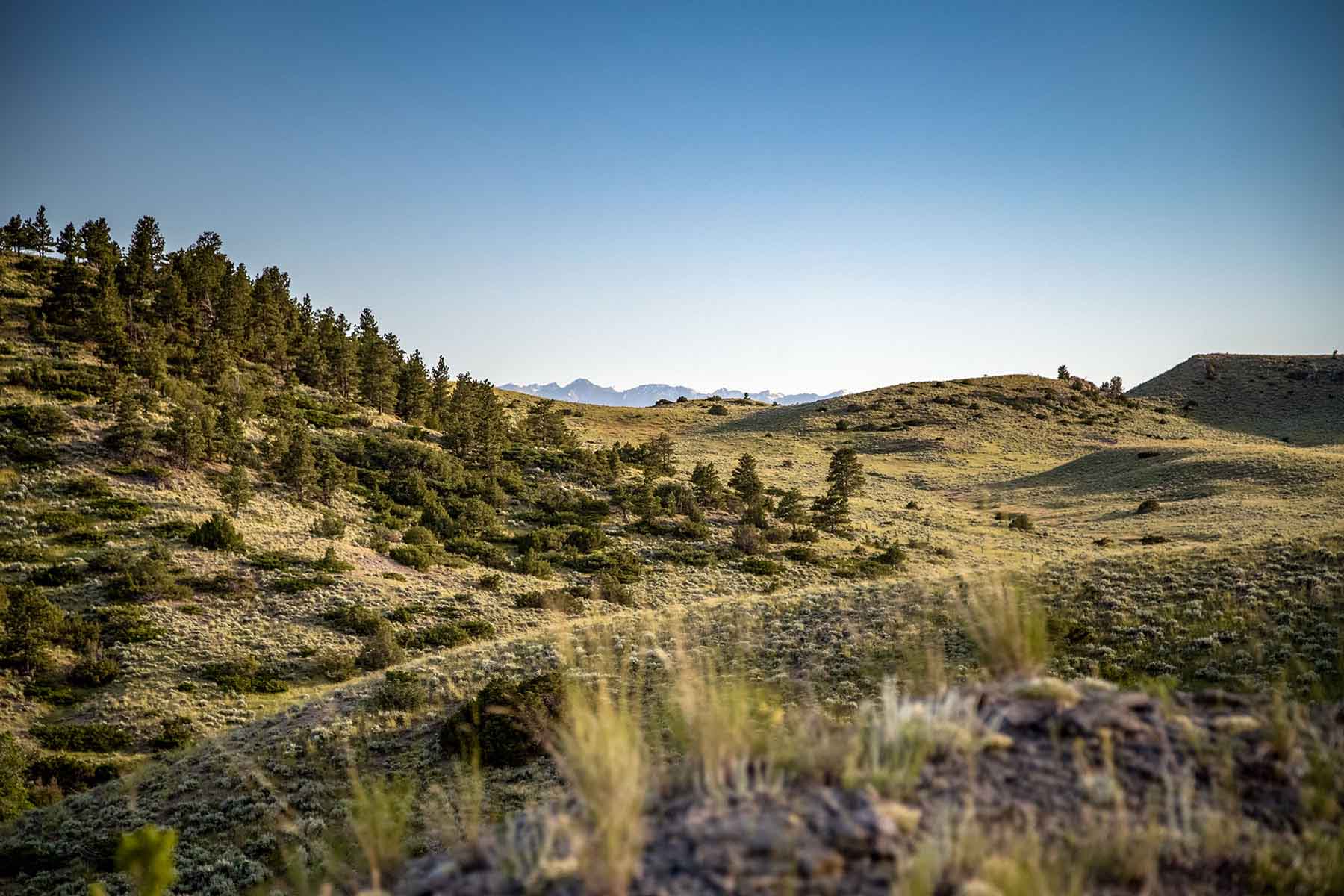 Big Timber Creek Ranch property picture 8 of 48