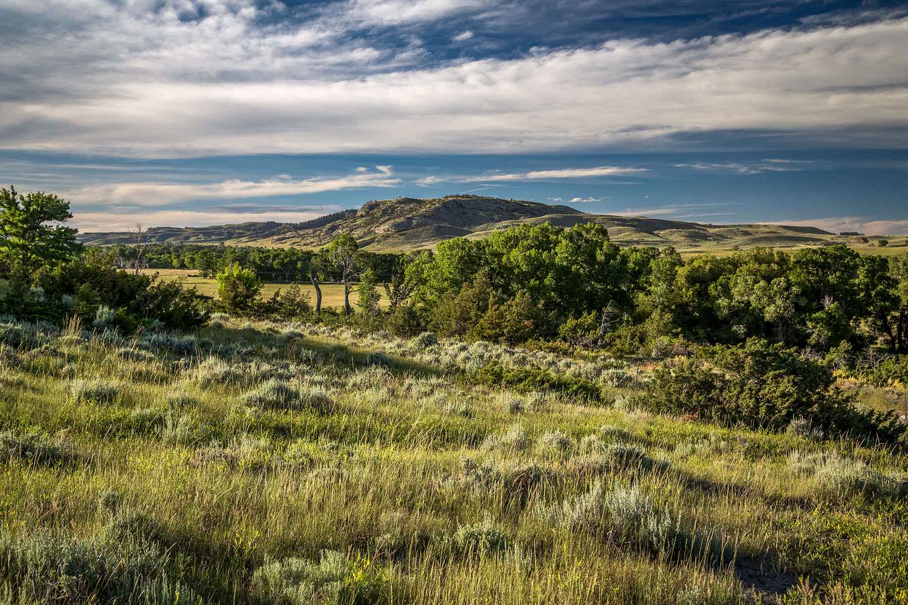 Big Timber Creek Ranch property picture 35 of 48