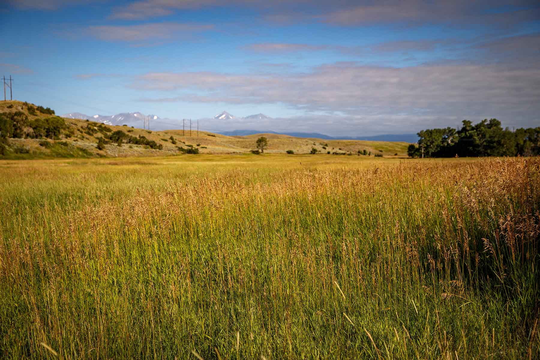 Big Timber Creek Ranch property picture 47 of 48