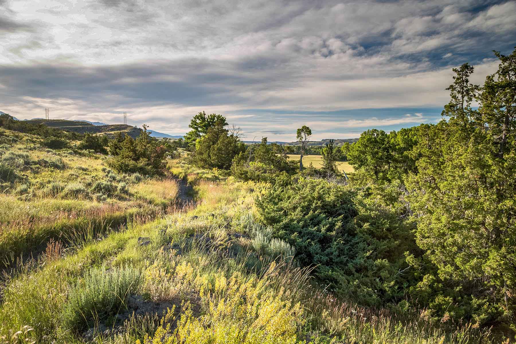 Big Timber Creek Ranch property picture 28 of 48