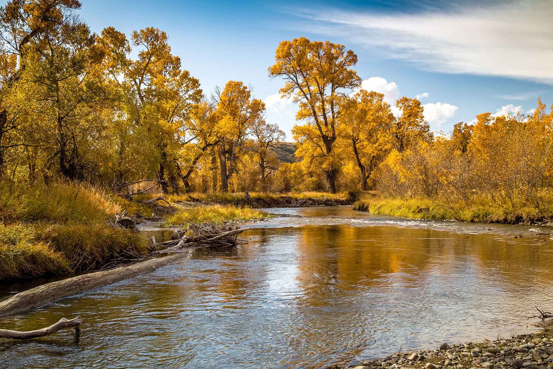 Big Timber Creek Ranch property picture 30 of 48