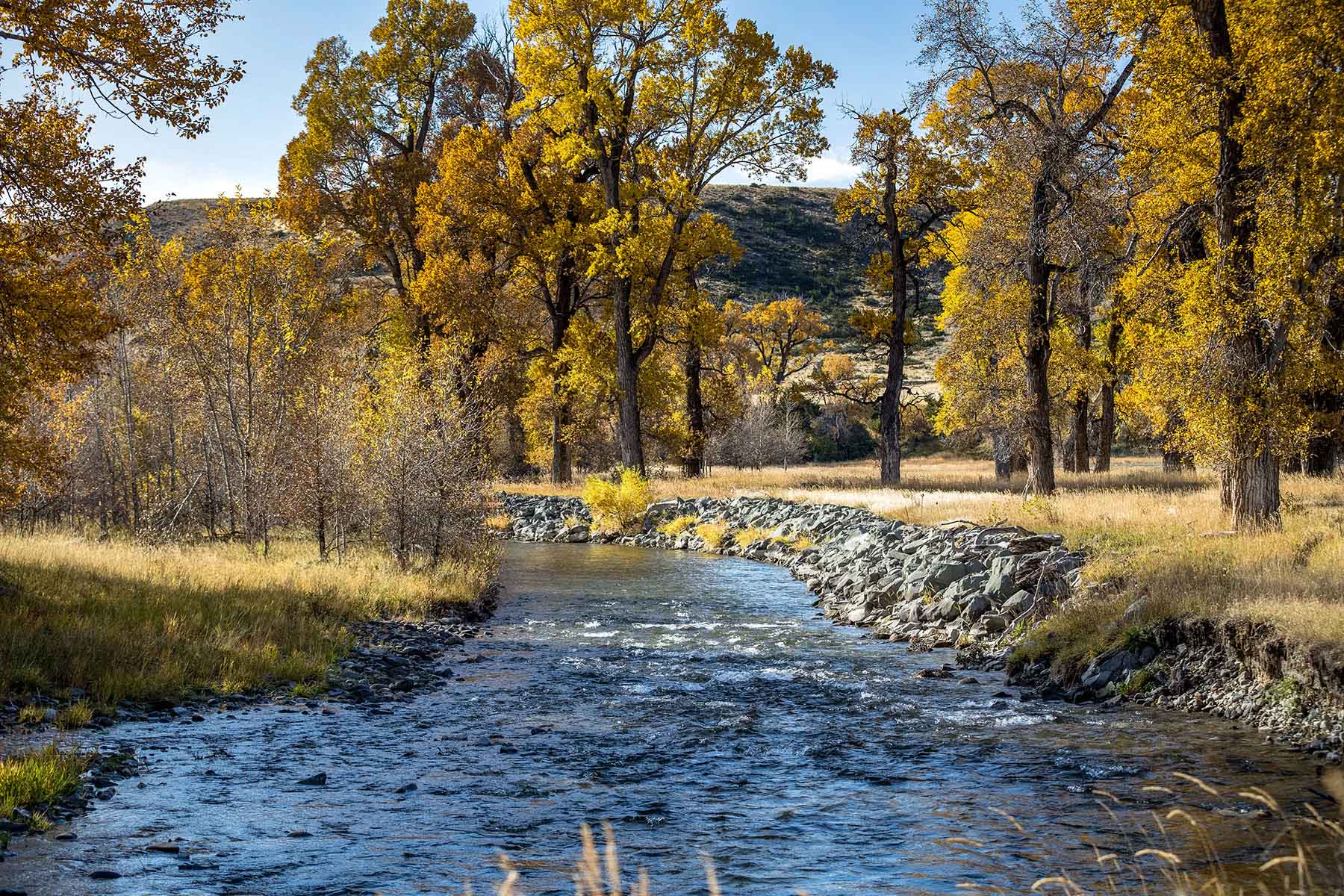 Big Timber Creek Ranch property picture 34 of 48