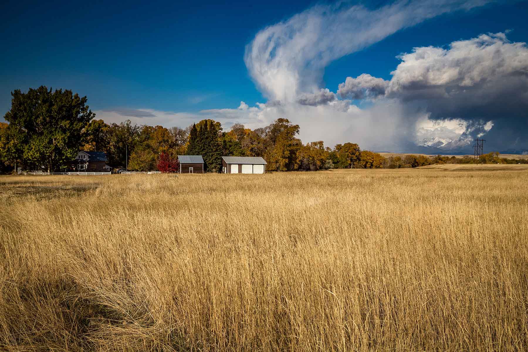 Big Timber Creek Ranch property picture 42 of 48