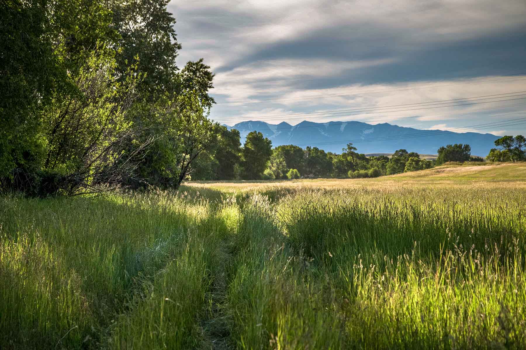 Big Timber Creek Ranch property picture 37 of 48