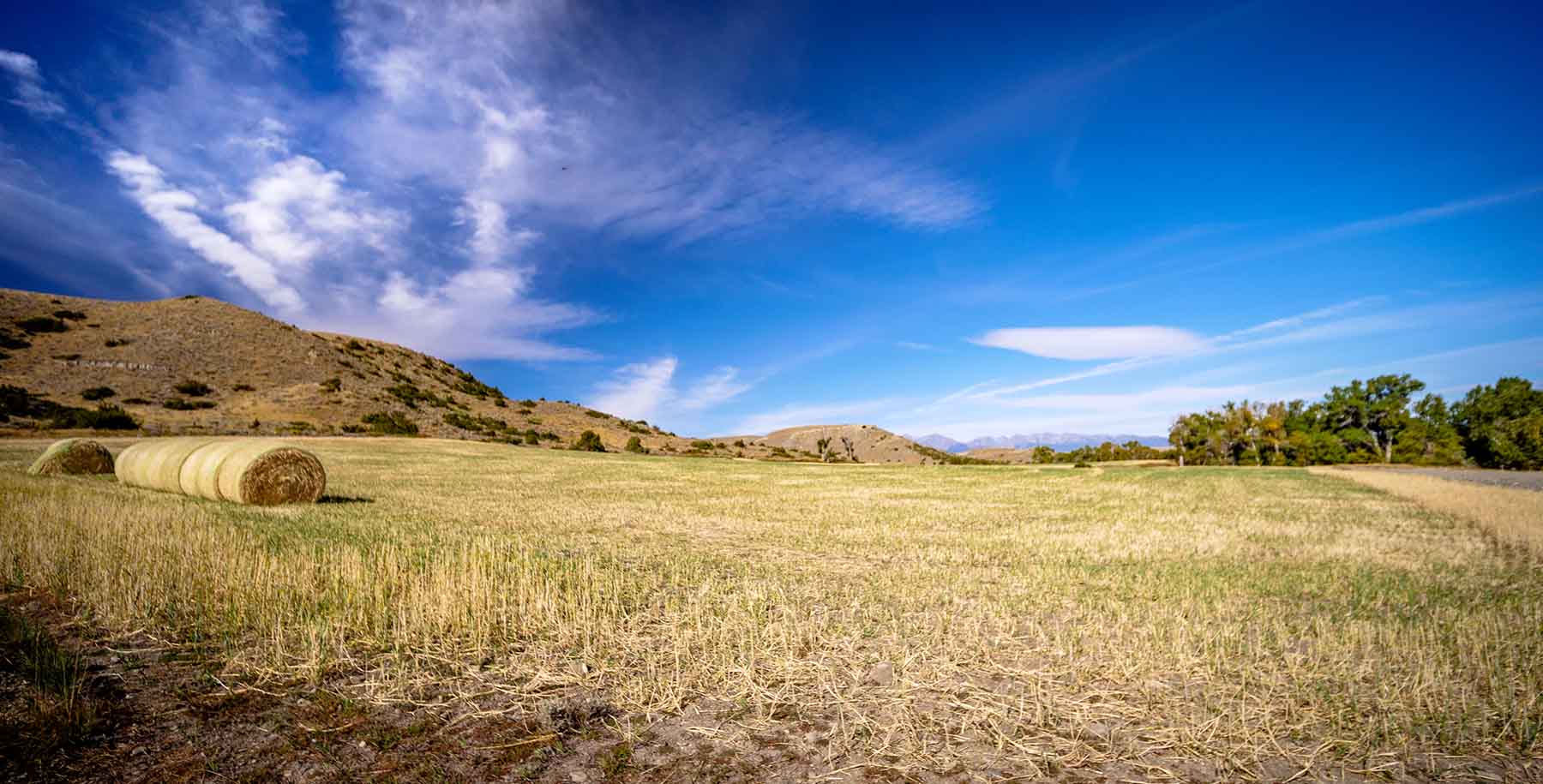 Big Timber Creek Ranch property picture 12 of 48