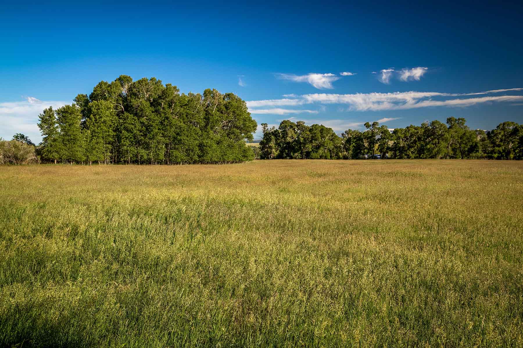 Big Timber Creek Ranch property picture 36 of 48