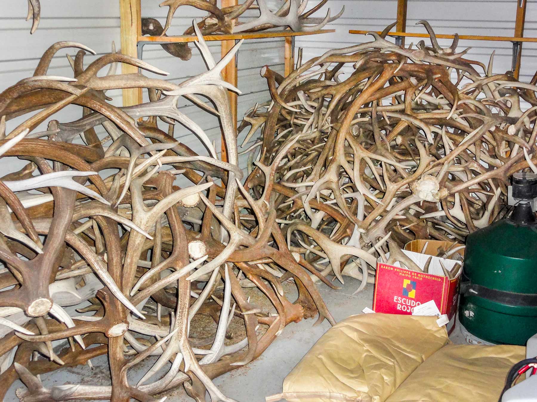 O'Neill Ranches property picture 20 of 40