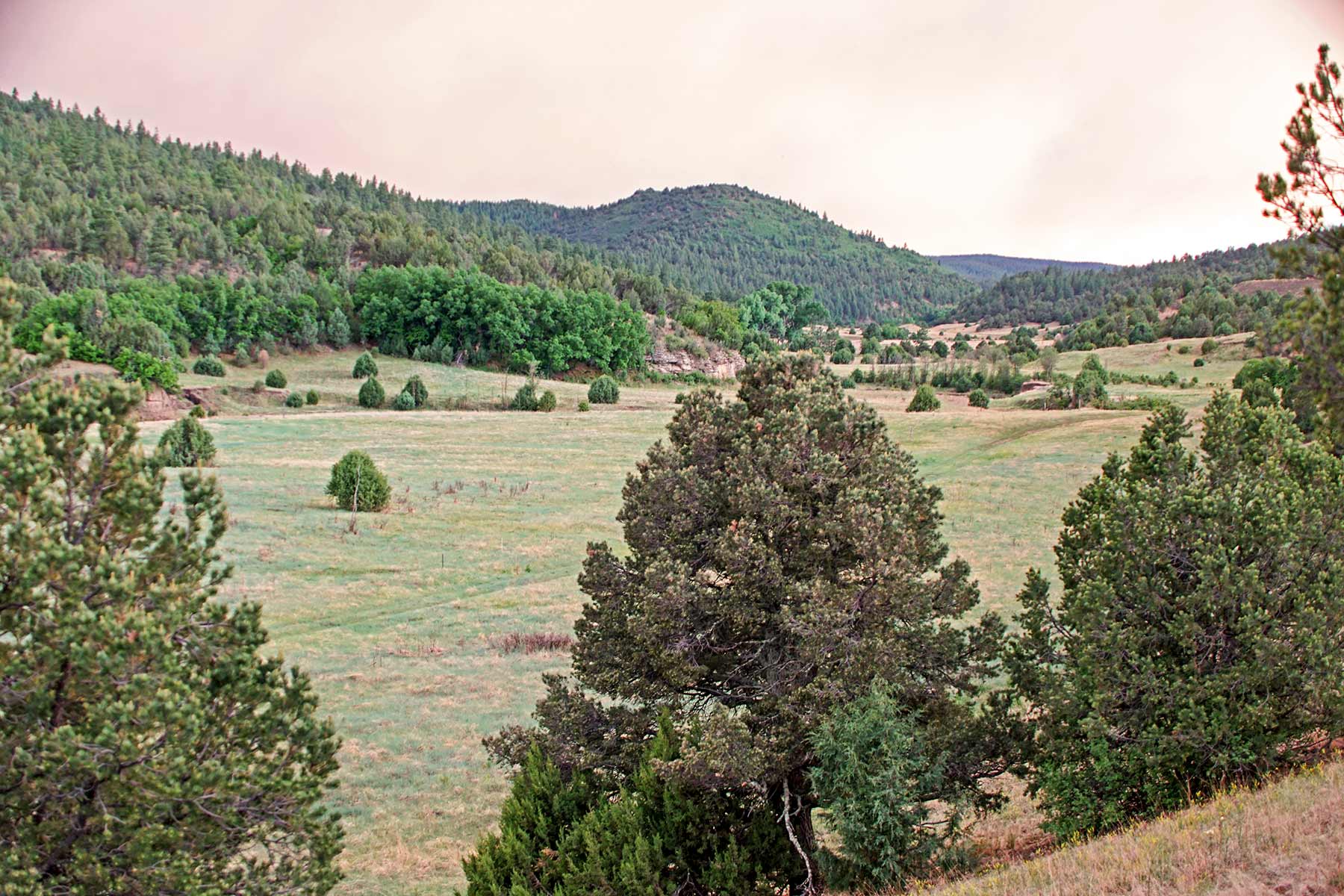 O'Neill Ranches property picture 18 of 40