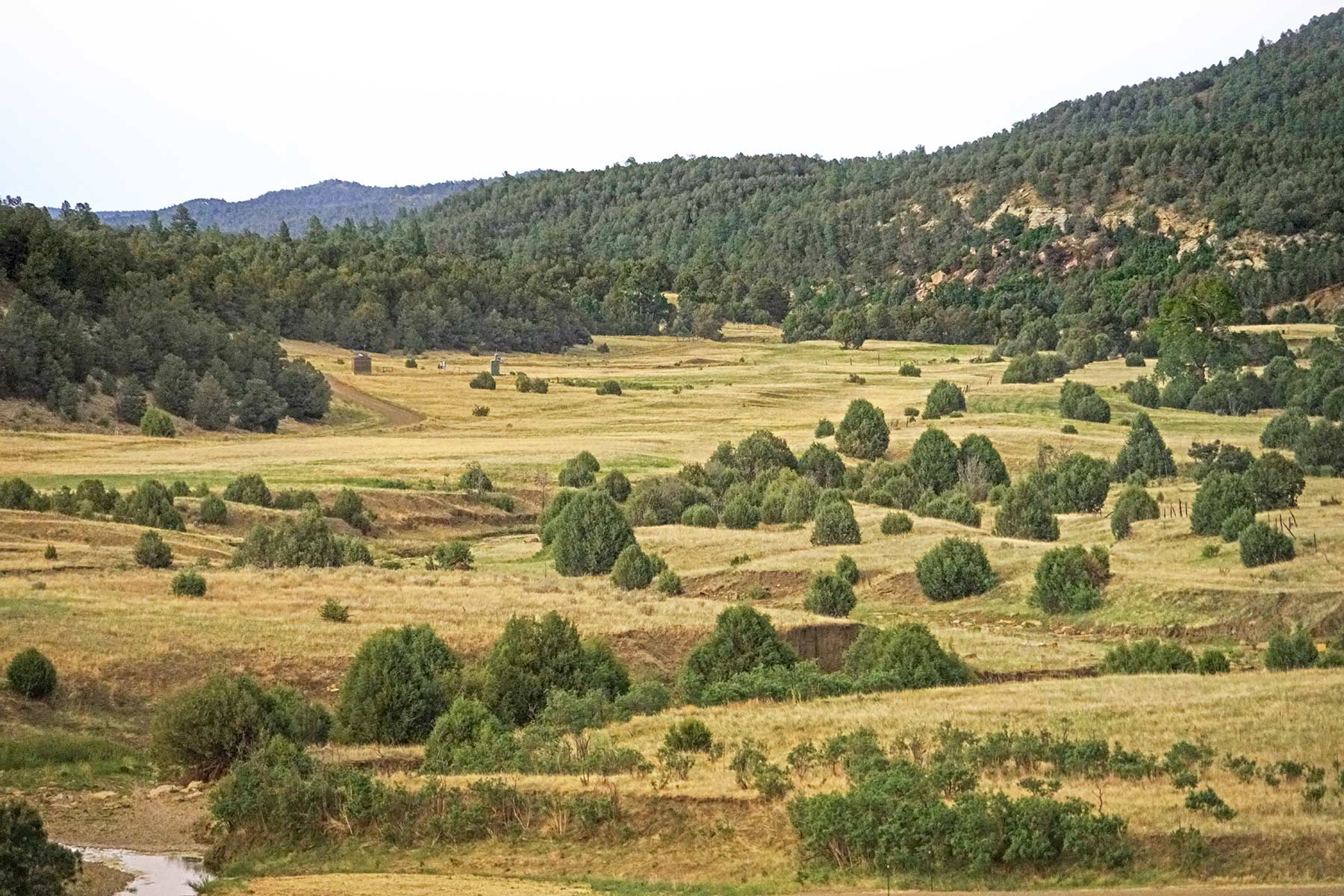 O'Neill Ranches property picture 2 of 40