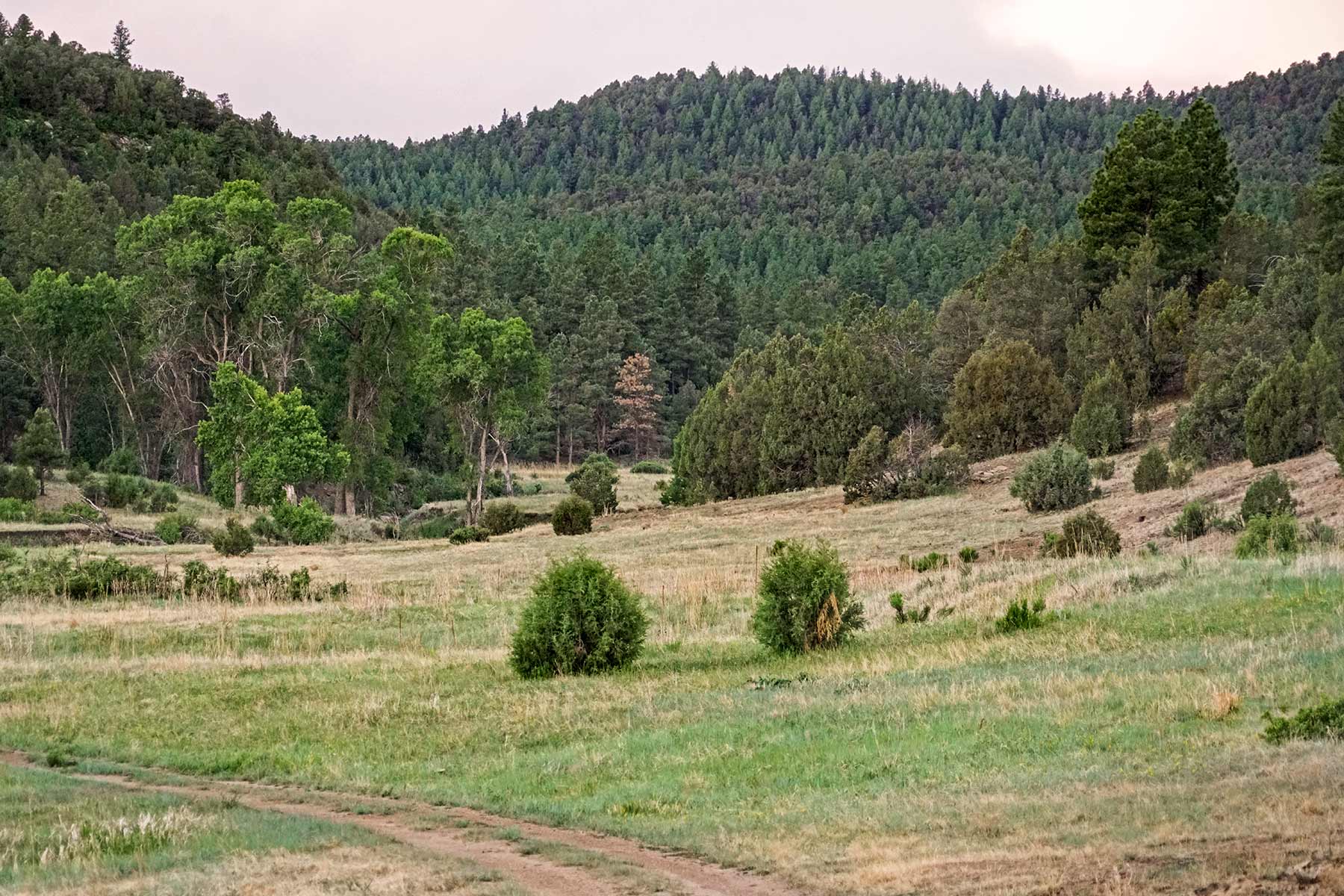 O'Neill Ranches property picture 21 of 40