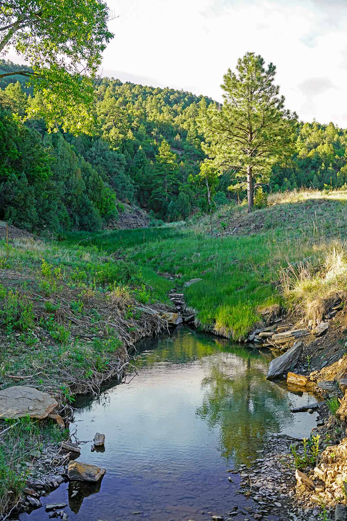 O'Neill Ranches property picture 31 of 40