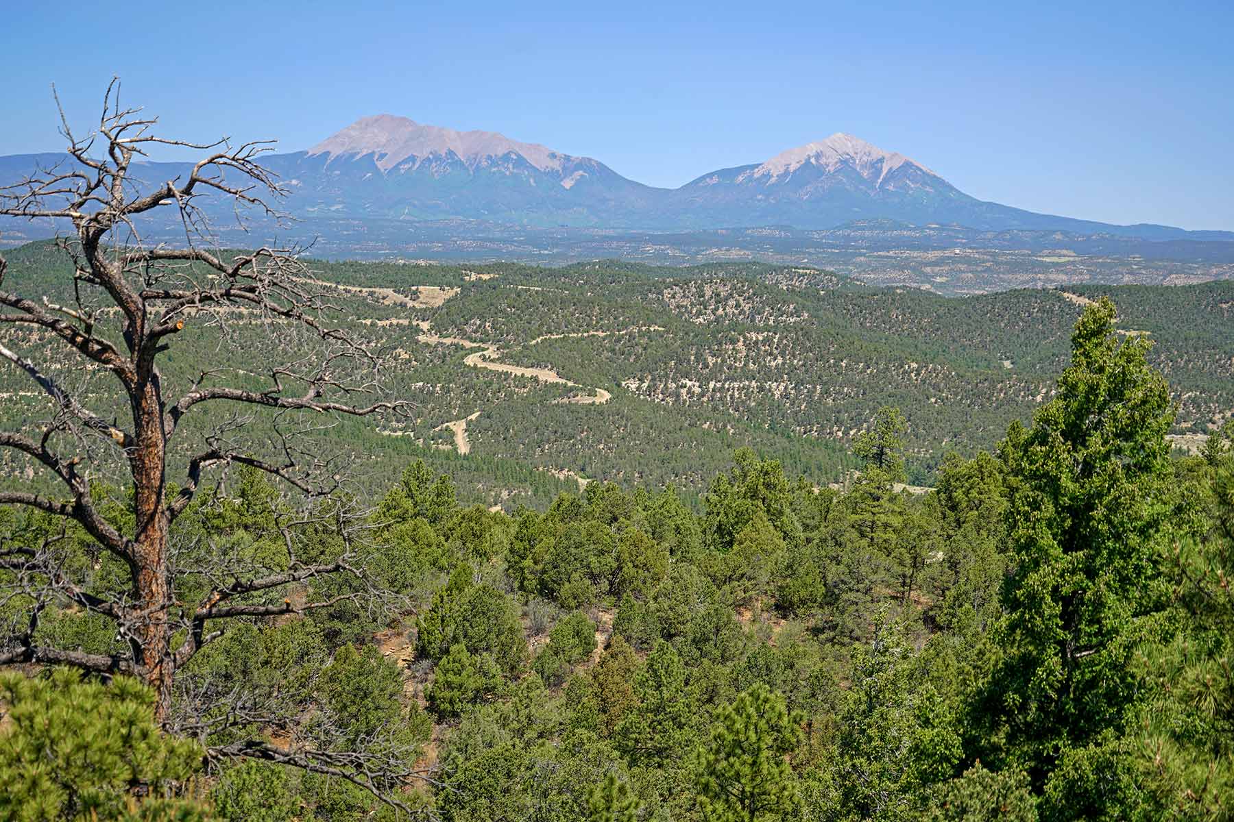 O'Neill Ranches property picture 29 of 40
