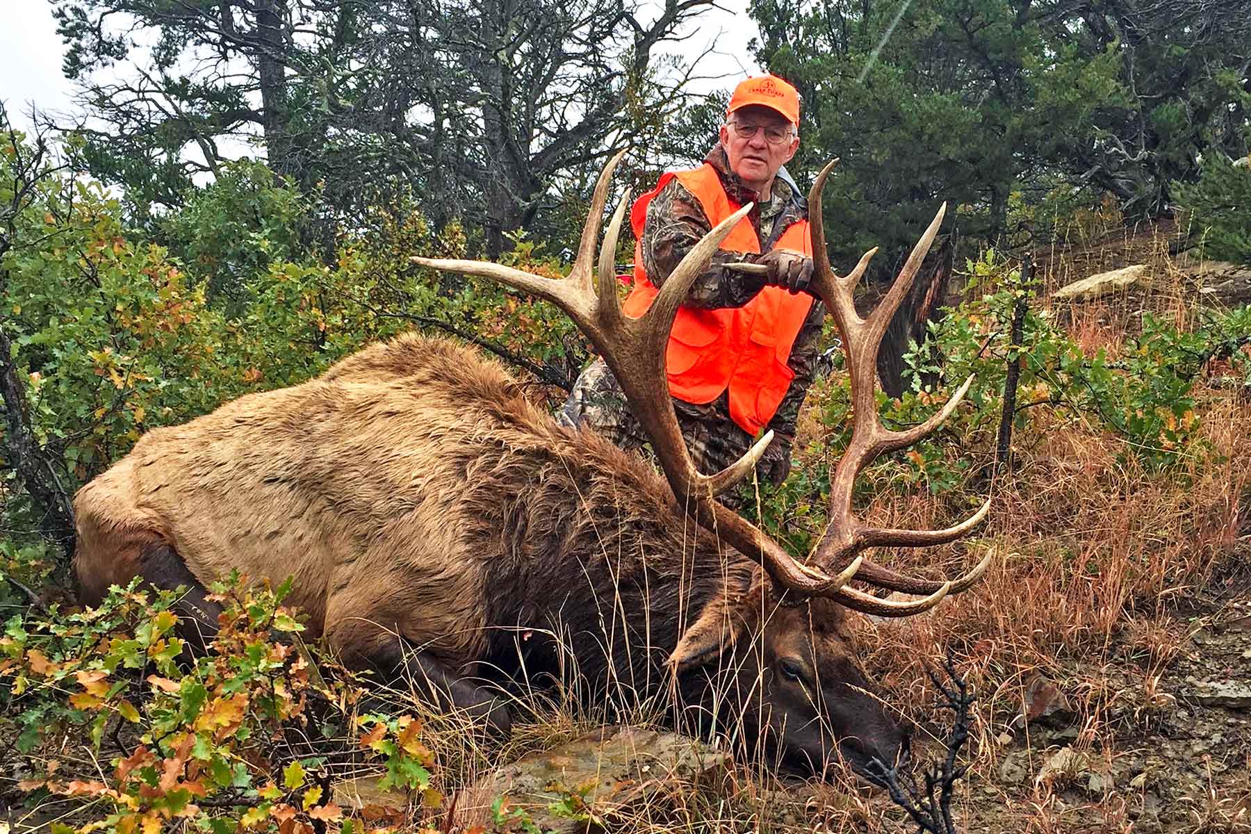 O'Neill Ranches property picture 7 of 40