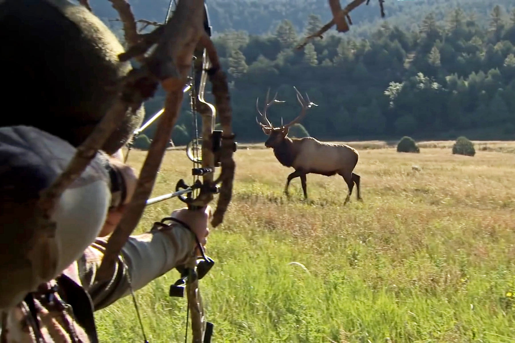 O'Neill Ranches property picture 19 of 40