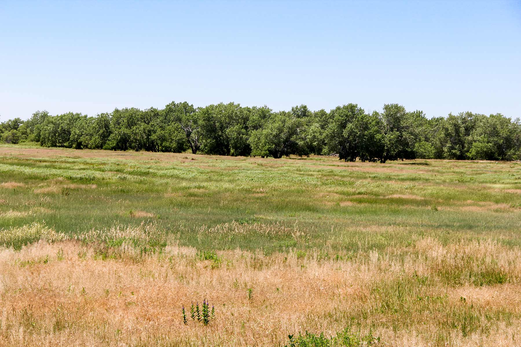 Rust Ranch property picture 61 of 77