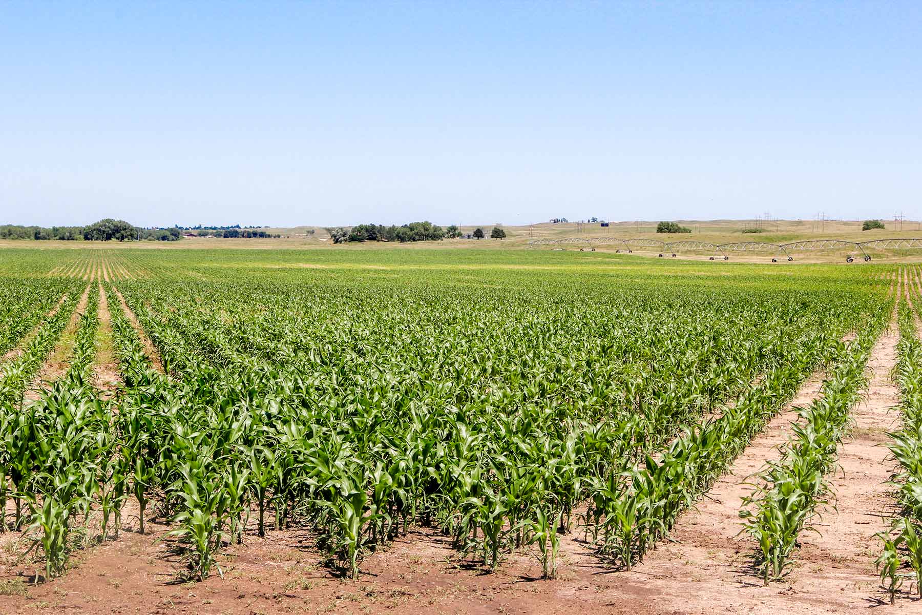 Rust Ranch property picture 63 of 77