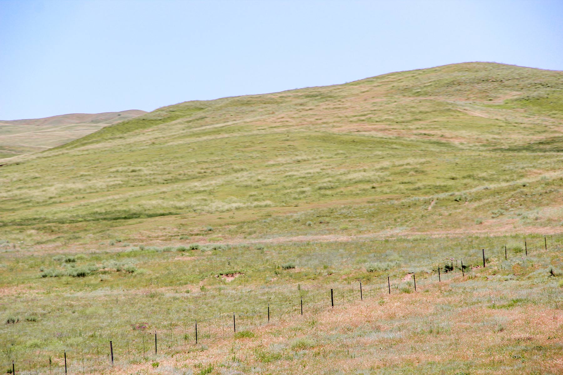 Rust Ranch property picture 45 of 77