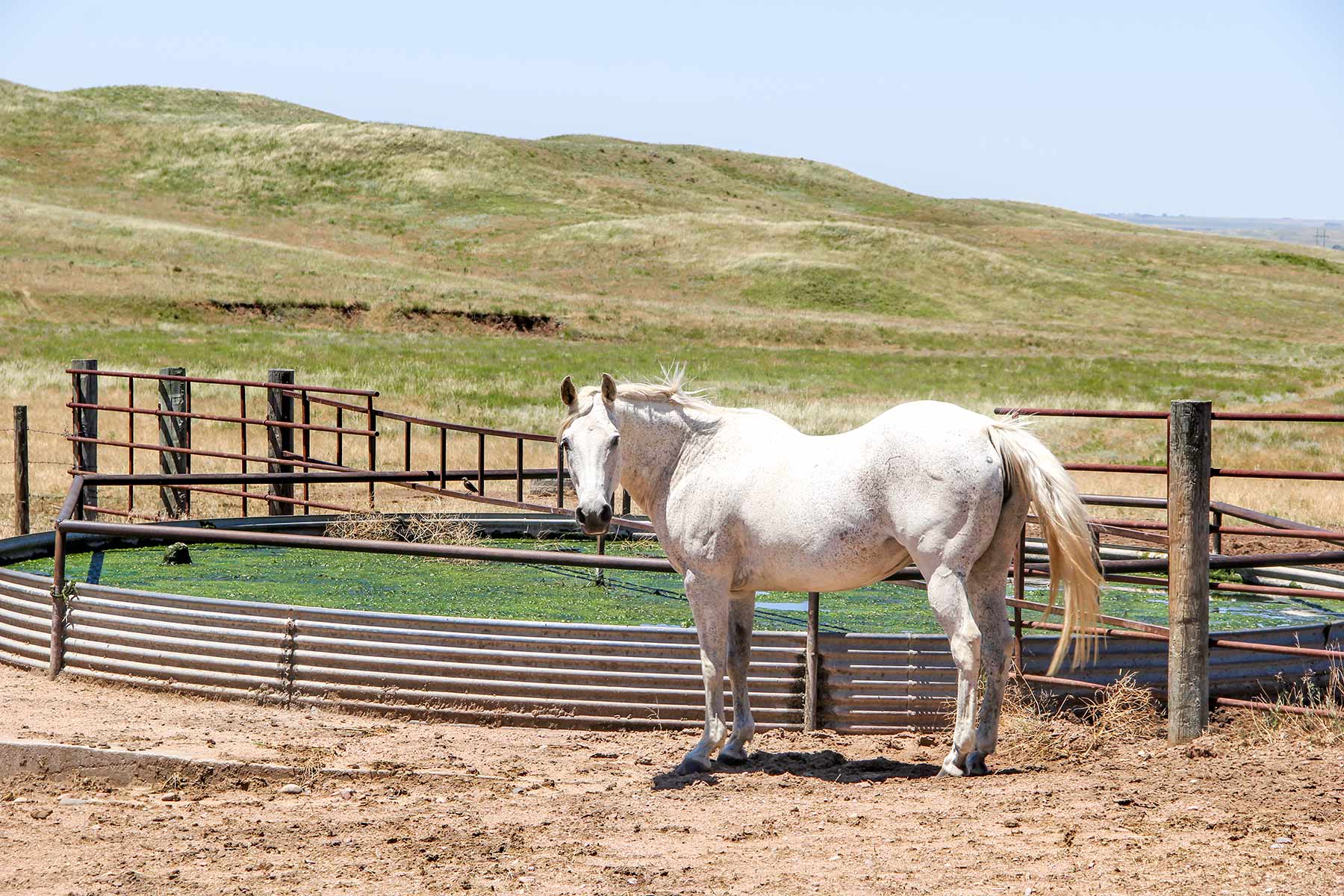 Rust Ranch property picture 47 of 77